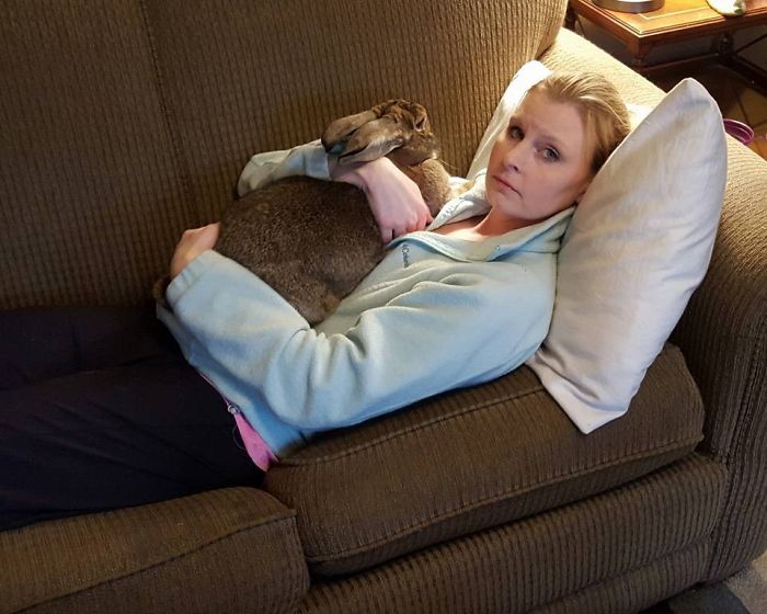 After The Death Of My Mother, I Discovered The Power Of Rabbit Therapy