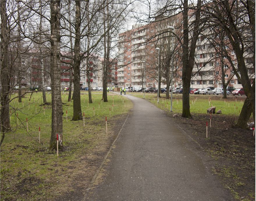 Urban Intervention For Residential Area In Estonia