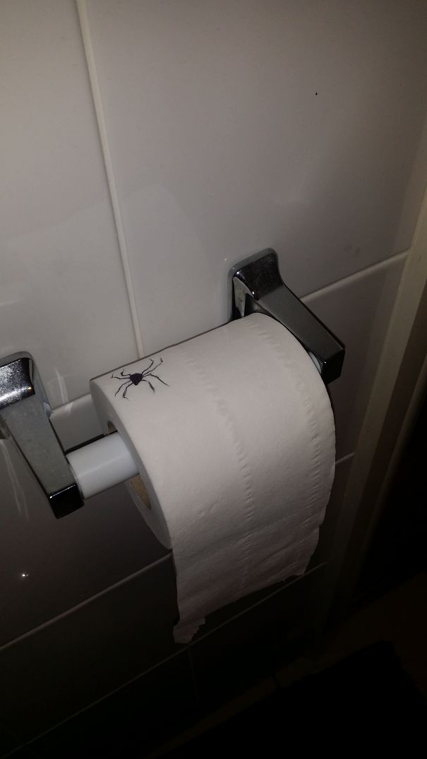Toilet Roll Spider
