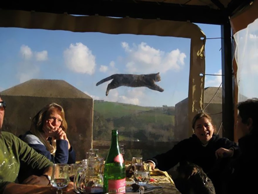 Best Photobomb Ever