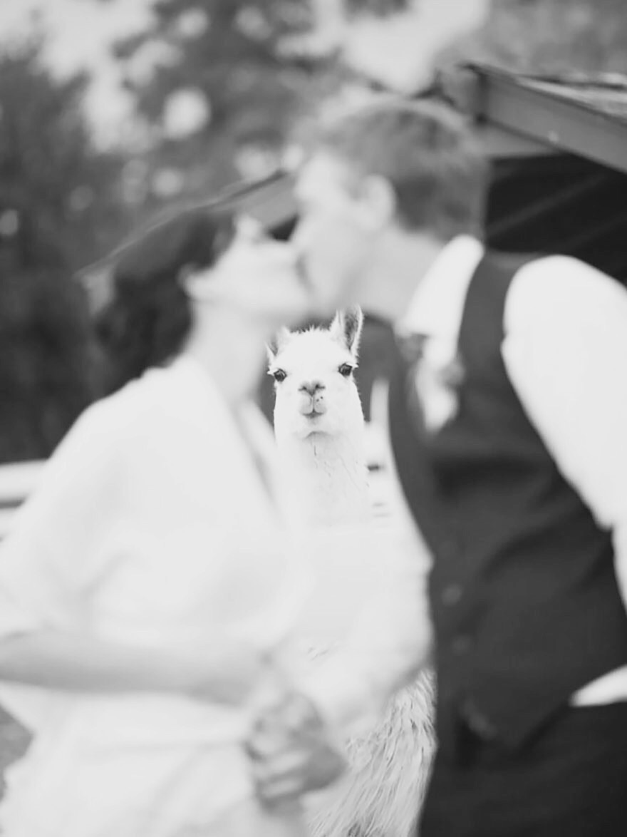 Best Photobomb Ever