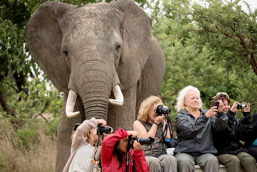 Best Photobomb Ever