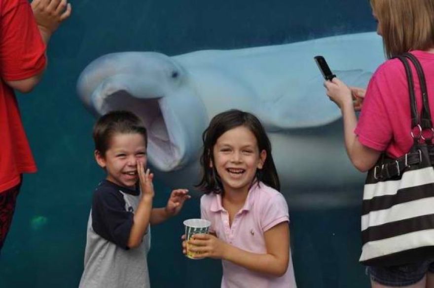 Best Photobomb Ever