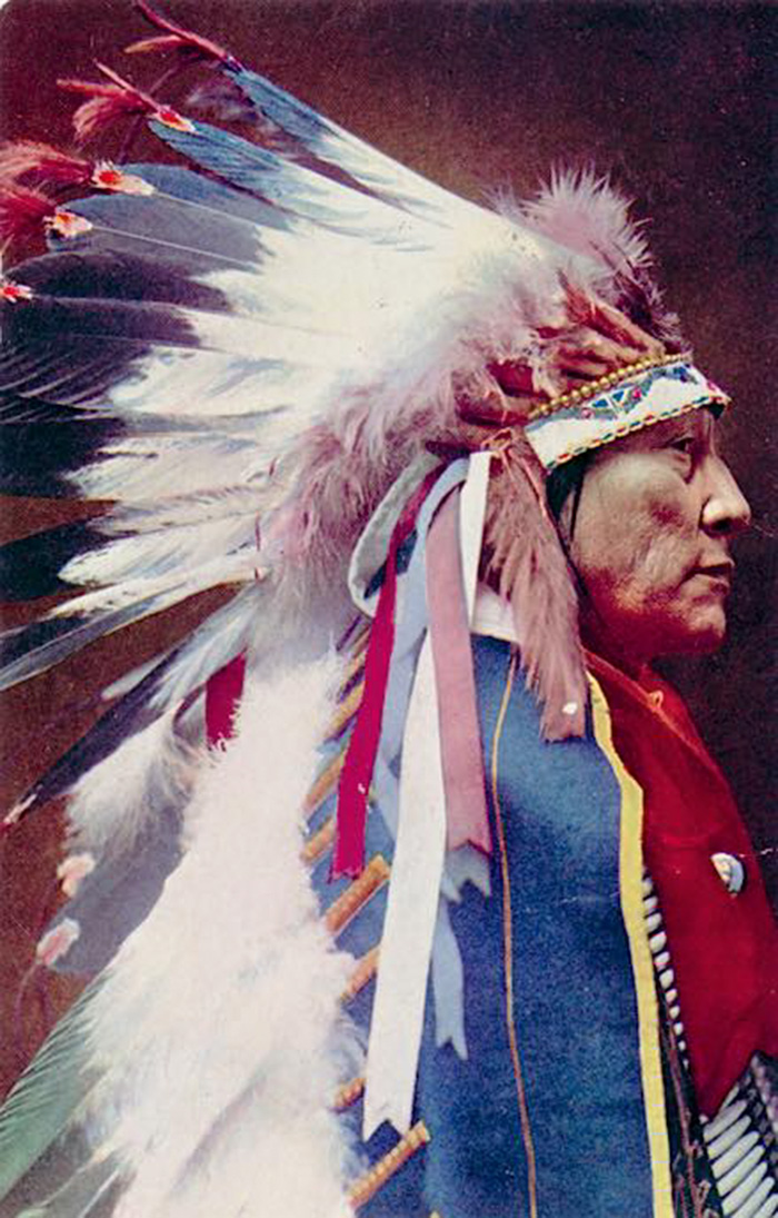 Chief Hollow Horn Bear. Sicangu Lakota. 1905. Photo By Delancey W. Gill