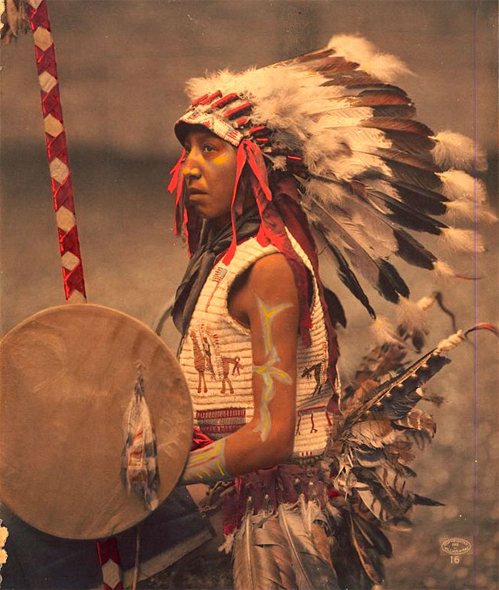 Charles American Horse (the Son Of Chief American Horse). Oglala Lakota. 1901. Photo By William Herman Rau