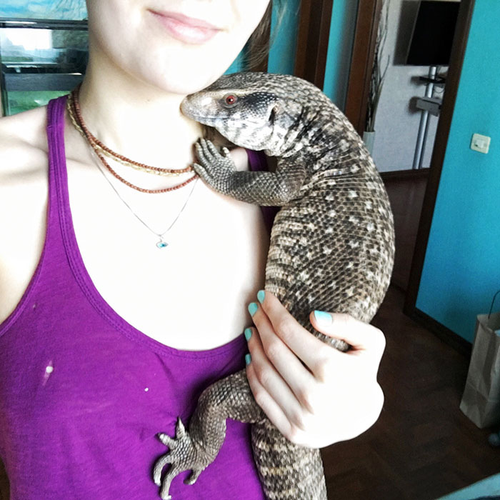 This Lizard Proves That Reptiles Can Be Cute Pets Too