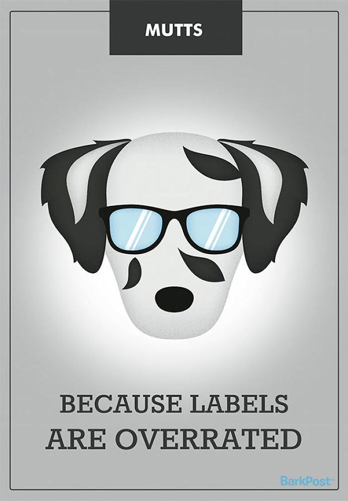 12 Honest Dog Breed Slogans That Make Fun Of Stereotypes