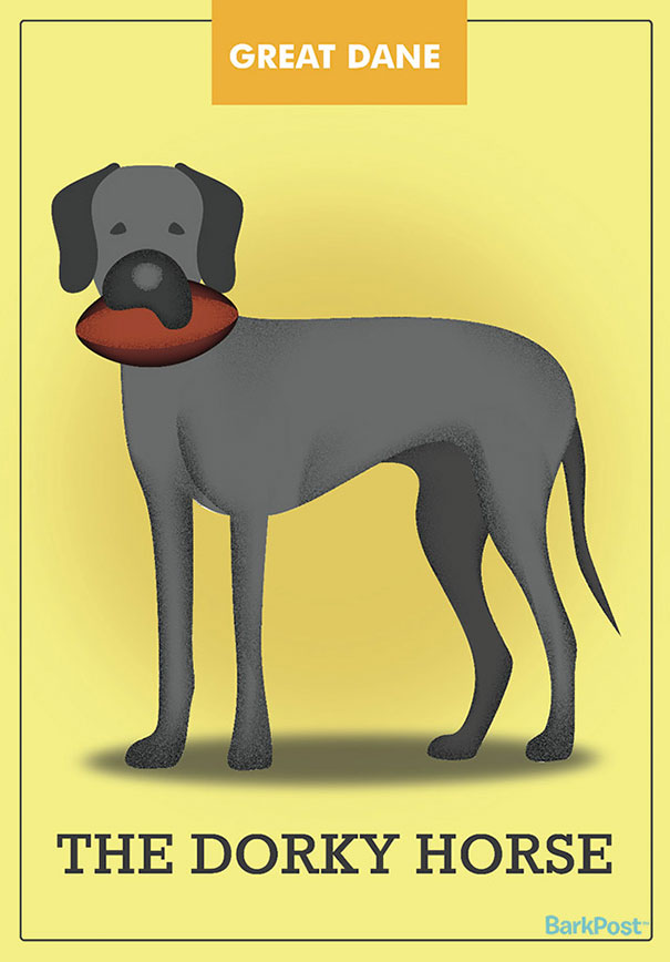Dog Breed Illustrations