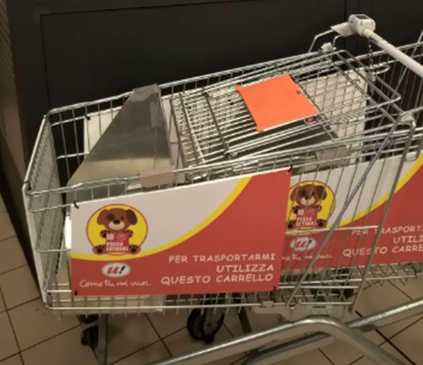 dog-rides-cart-supermarket-unes-italy-4