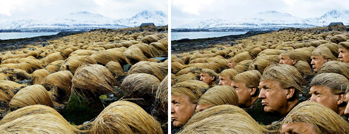 Secret Photos Reveal Where Donald Trump Grows His Hair