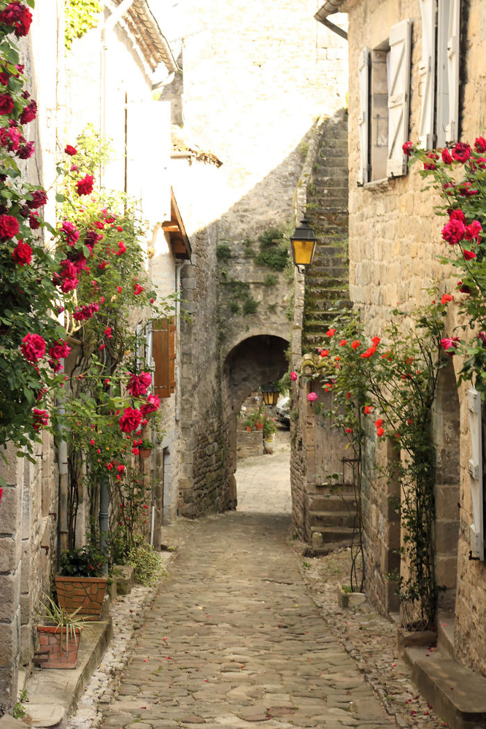 A cobblestone pathway in a fairy tale village with stone buildings and flowering vines.