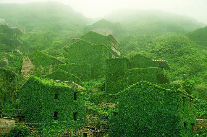 Fairy tale village with houses covered in lush green vines, creating an enchanting and dreamy atmosphere.