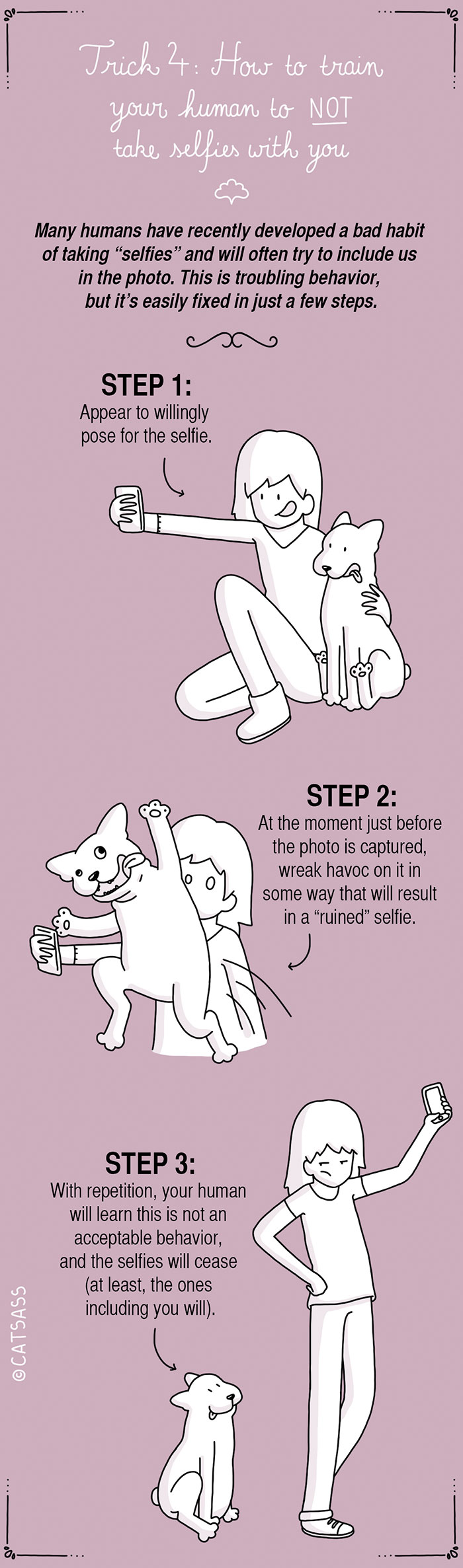 funny-dog-illustrations-how-to-train-your-human-catsass-7