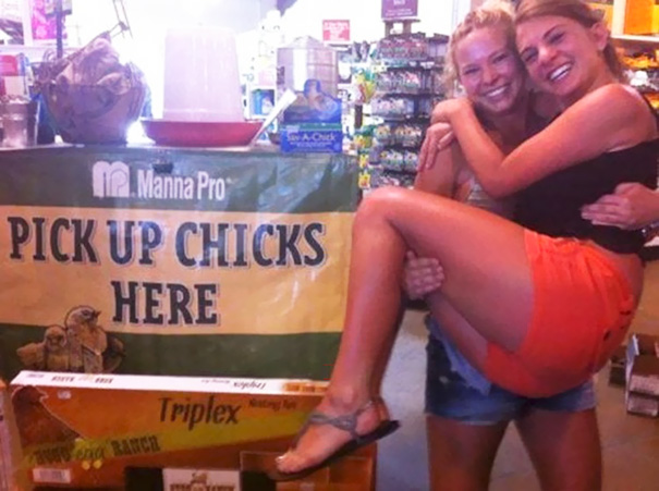 Pick Up Chicks Here