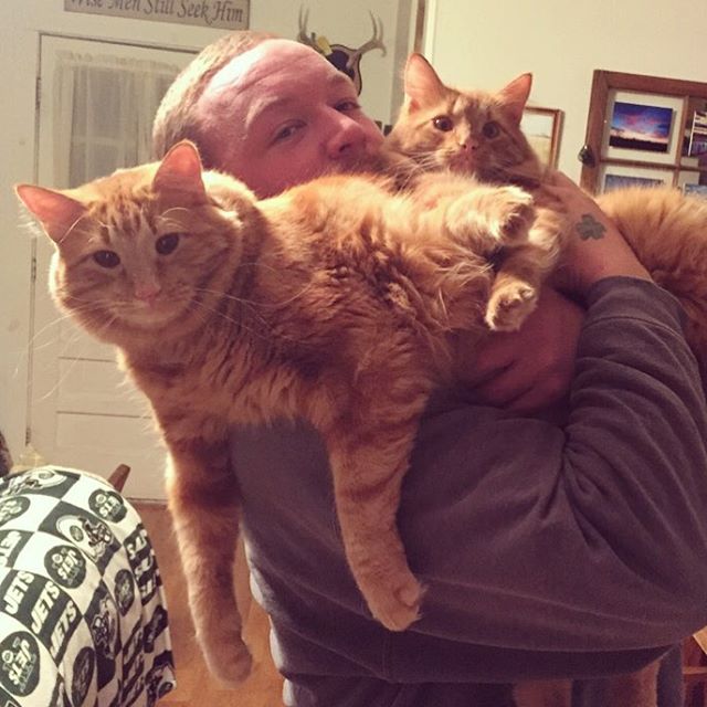 ginger-cat-adopts-mini-me-evin-minnie-37