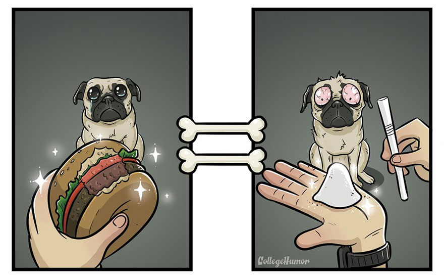 How Dogs See The World Differently