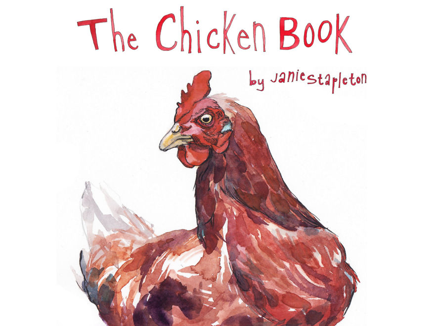 I Wrote And Illustrated A Kid's Book About Chickens