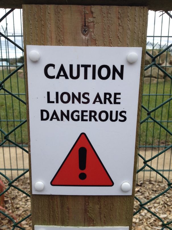Caution: Lions Are Dangerous
