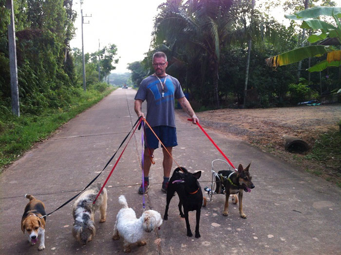 This Man Feeds 80 Stray Dogs Every Day Because He Can't Bear to See Them Starve