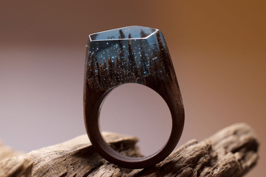 Miniature Worlds Inside Wooden Rings By Secret Wood