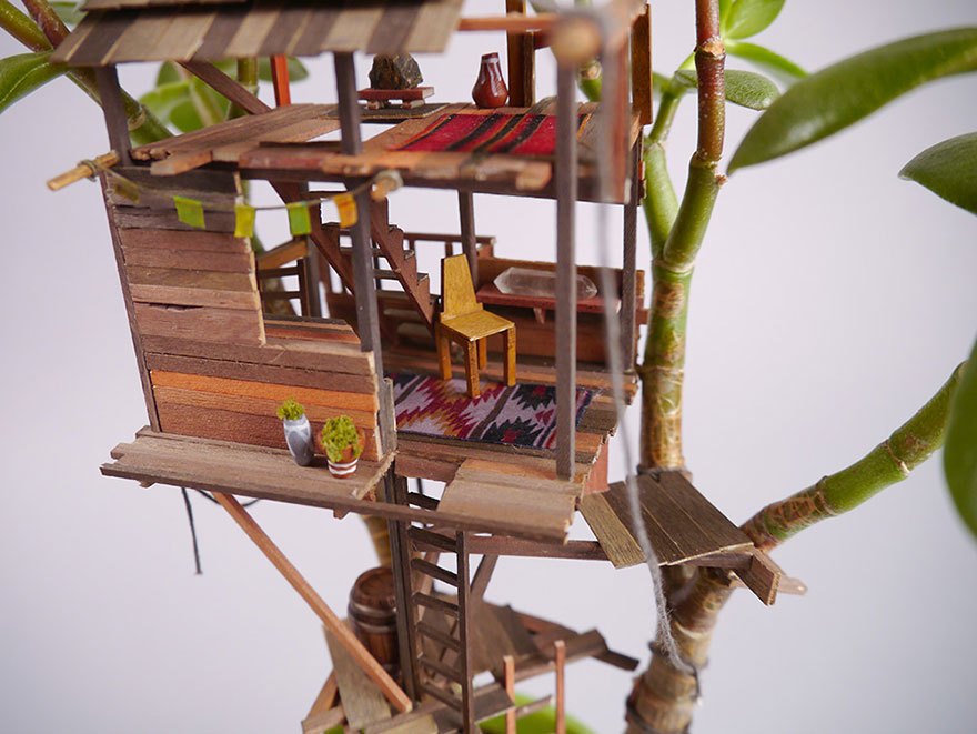 miniature-treehouse-houseplants-somewhere-small-jedediah-corwyn-voltz-13
