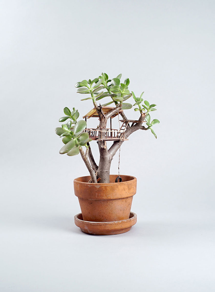Miniature Tree Houses For Houseplants Are Just Perfect For Fairies