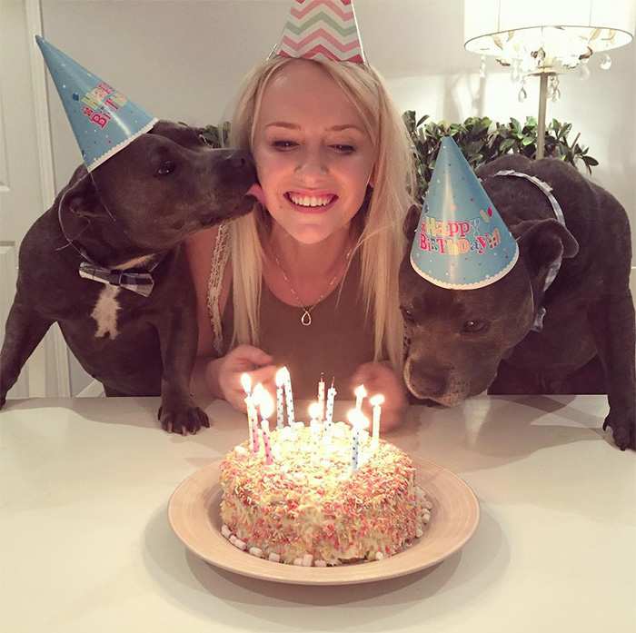 Adorable Pit Bull Brothers Celebrating Their Birthday