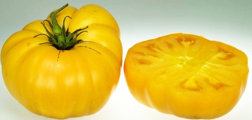pomidor-zolty-brandywine_2341-5722eb2e54690.jpg
