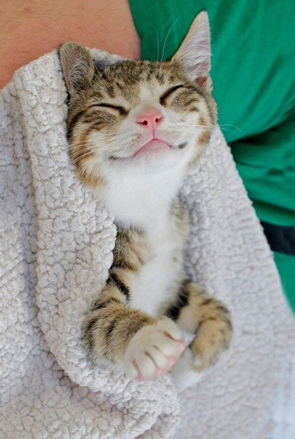 Snuggle, Snuggle, Smile