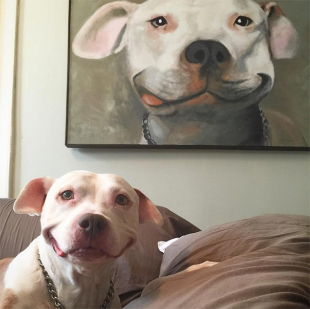 This Dog Has The Best Smile I've Ever Seen
