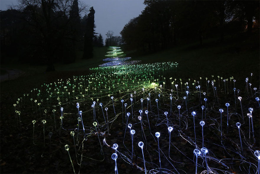 Field Of Light: Artist Uses 50,000 Lights To Turn Desert Into Surreal Fairytale