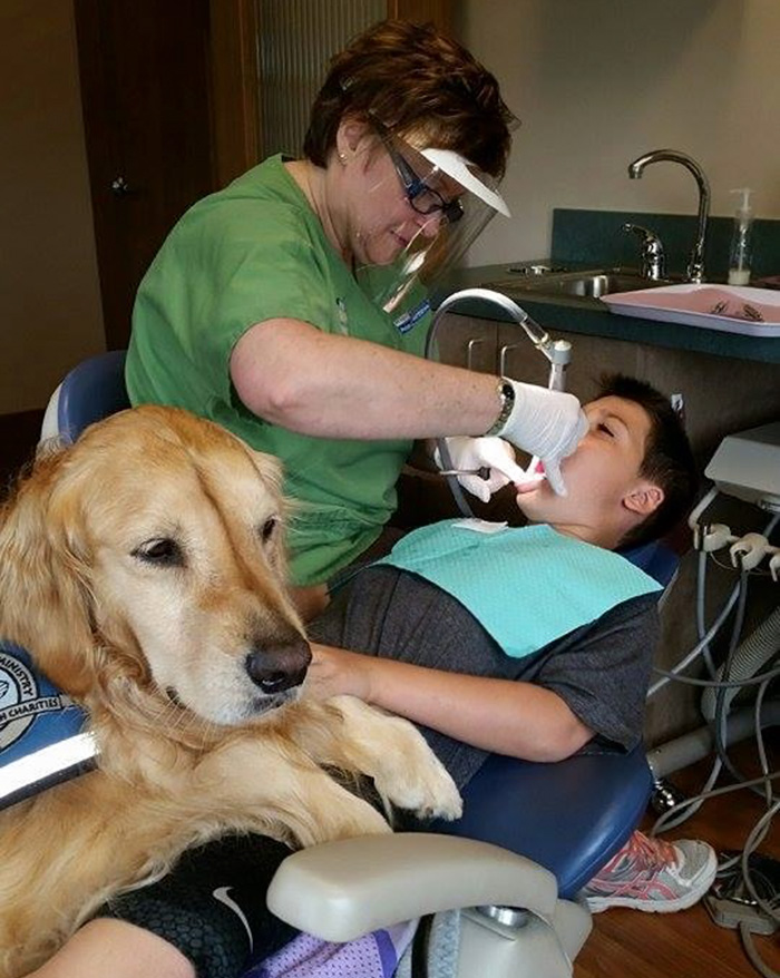 therapy-dog-dentist-stress-jojo-pediatric-dentistry-northbrook-14