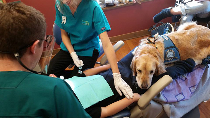 therapy-dog-dentist-stress-jojo-pediatric-dentistry-northbrook-6