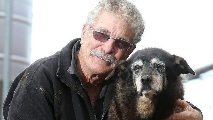 World's Oldest Dog Maggie Dies Aged 30