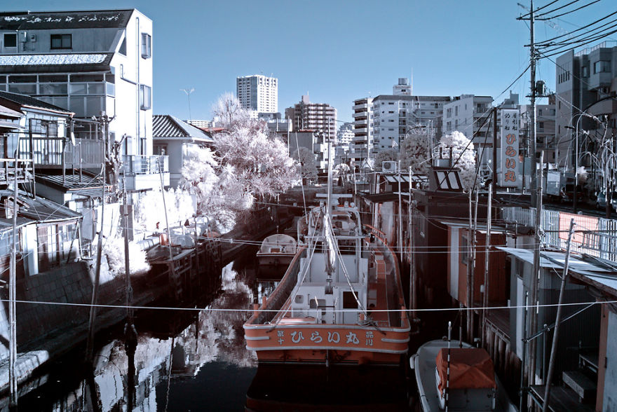 I Photographed Tokyo In Infrared