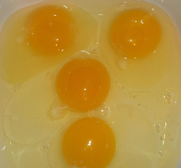 Surprised Eggs!