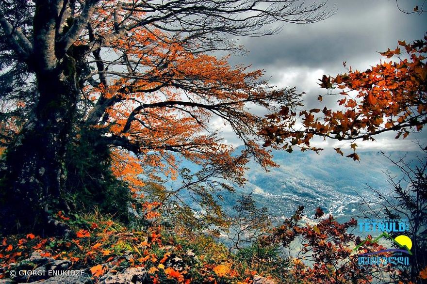 Autumn View From Tskrajvari. Location: Imereti, Georgia, 1569 Metres Above Sea Level
