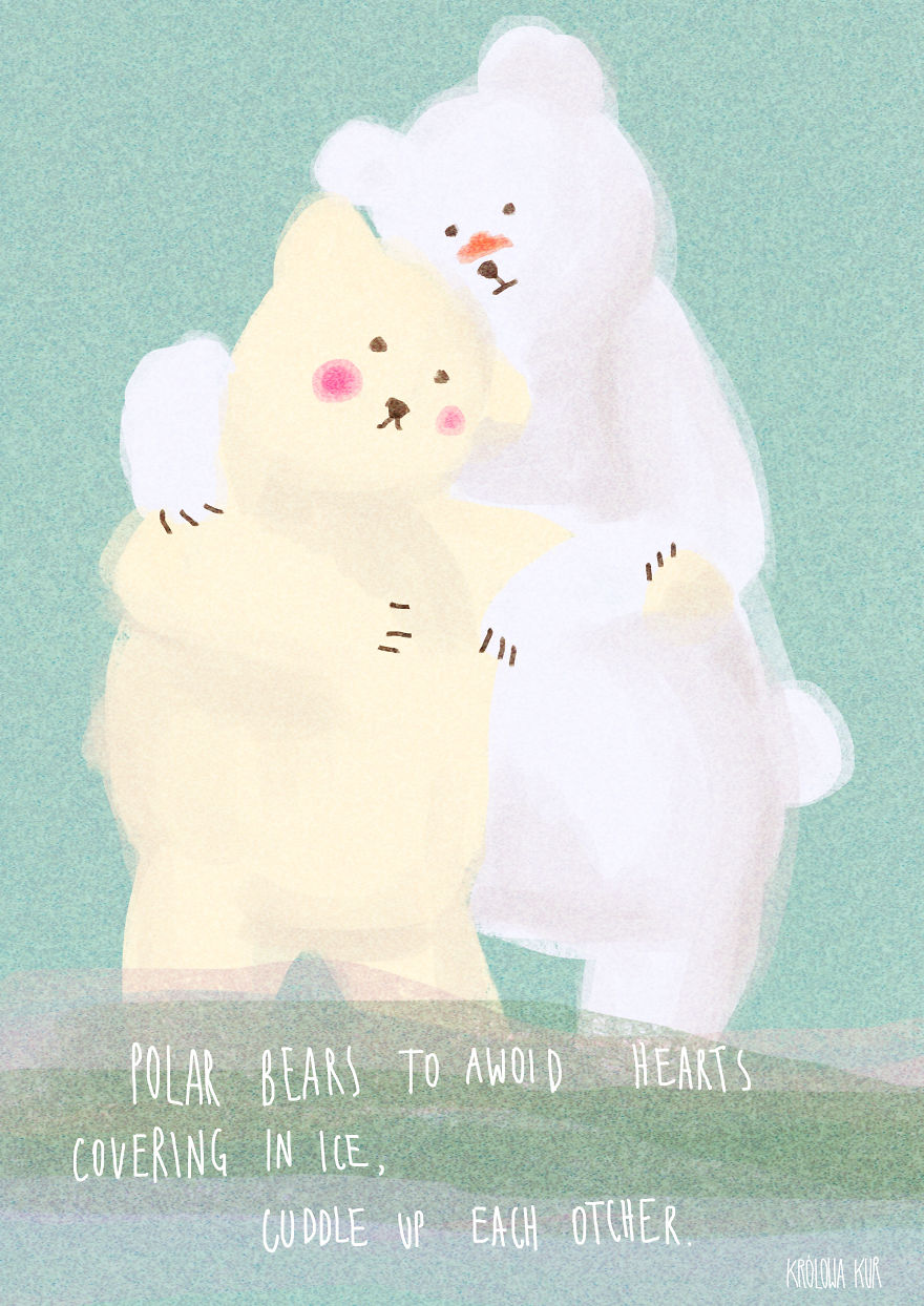 7 Illustrations That Reveal The Truth About Polar Bears