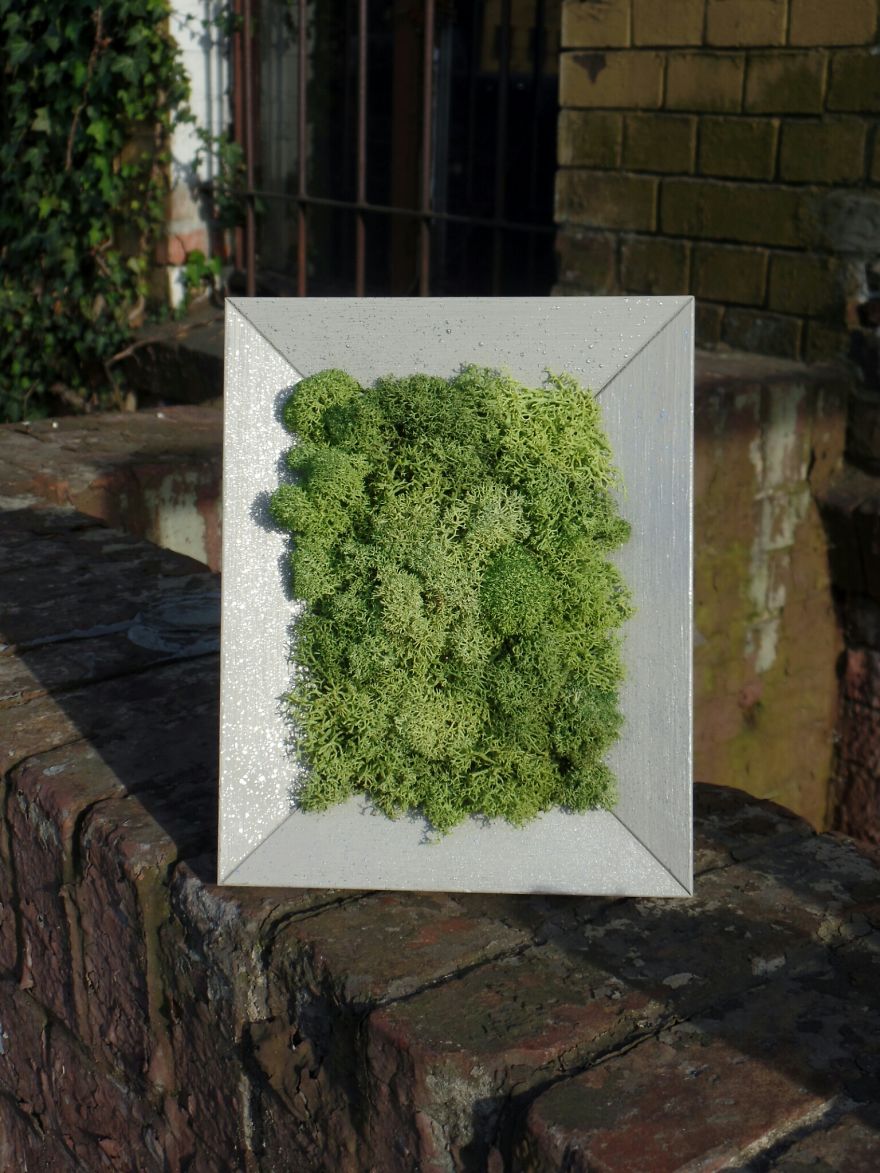 We Create Decorations From Moss For Nature Lovers