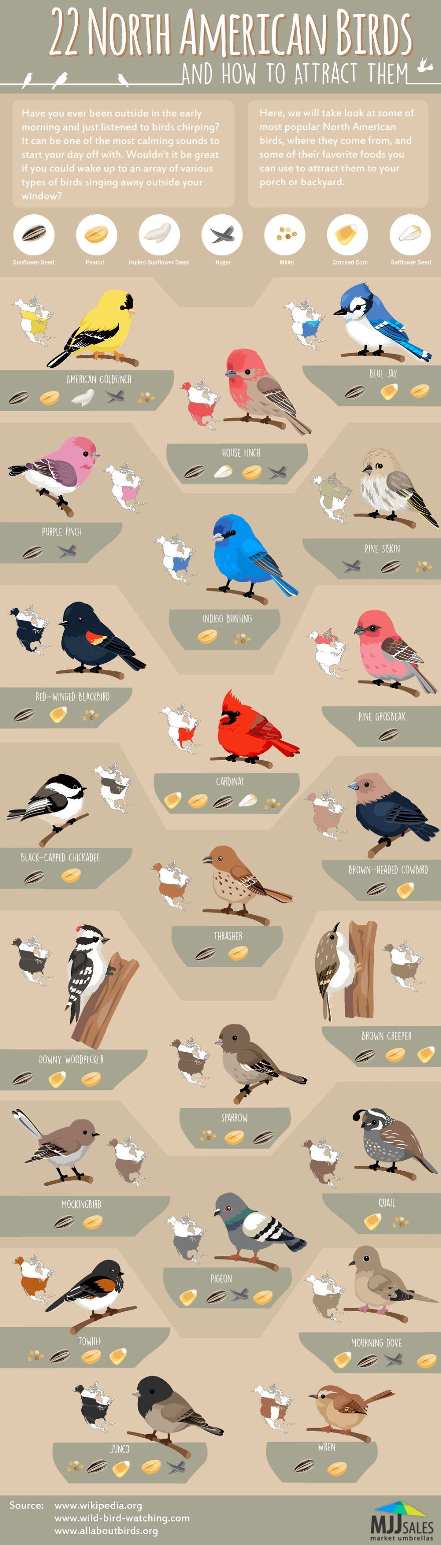 Found This Cool Chart Of North American Birds