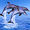 spinnerpearlakaspinnerdolphin18aj avatar