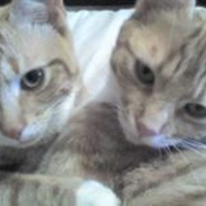 pauline_ann45 avatar