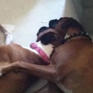 jen-anderson-29 avatar