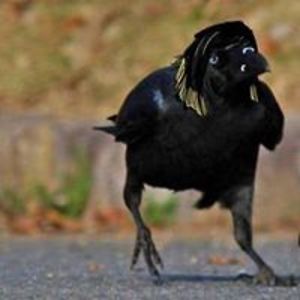 strandedinadream avatar