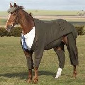 erica_jo_young avatar