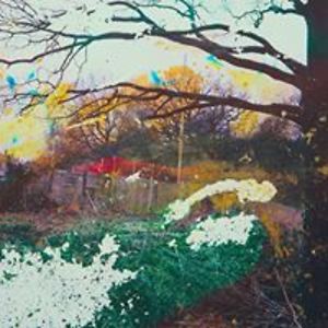 elincreiblemixi avatar