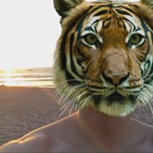 davidramon_ruiz avatar