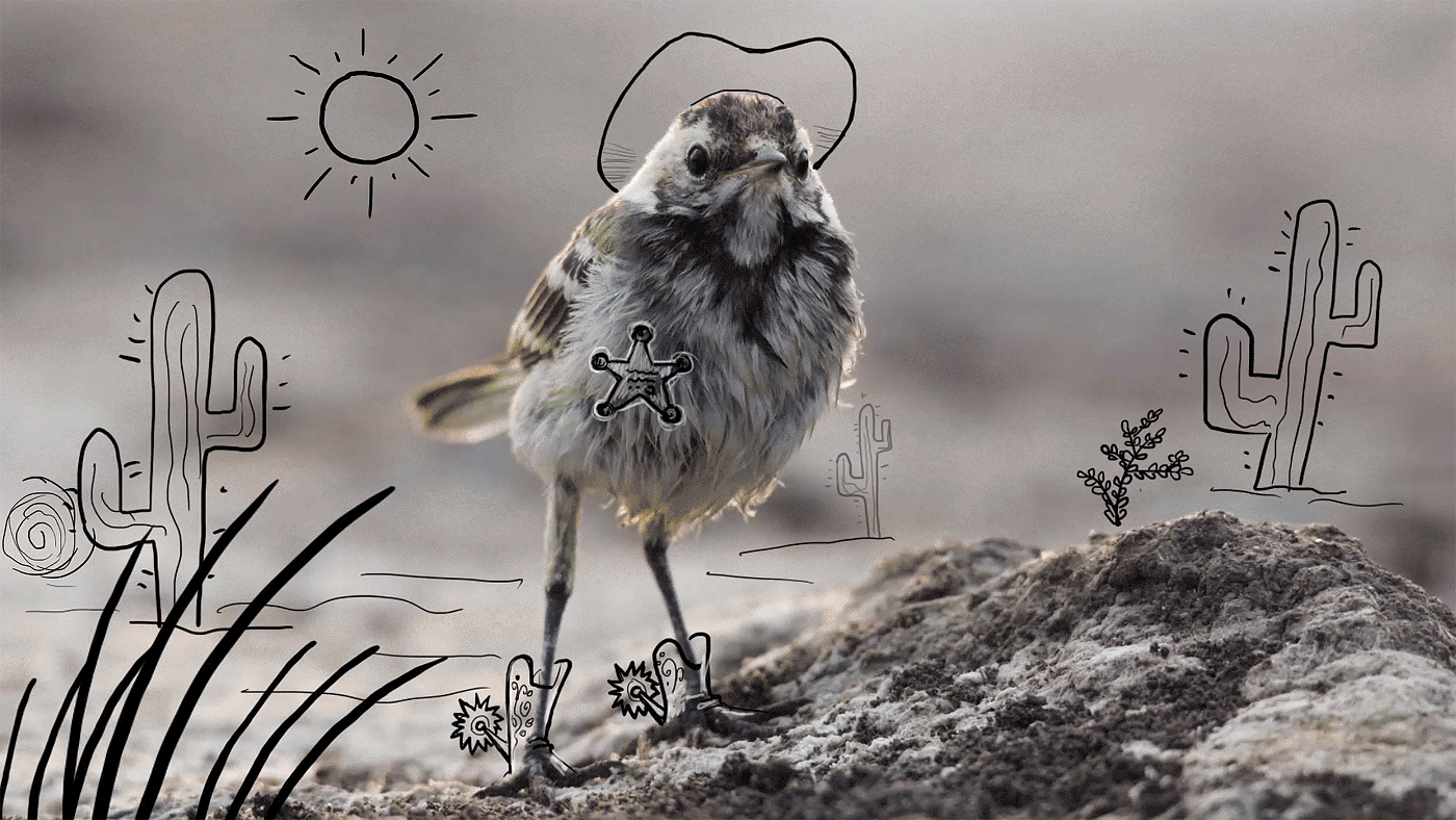 Be Birds: Photographer And Animator Combine Their Skills To Create Fun Gifs