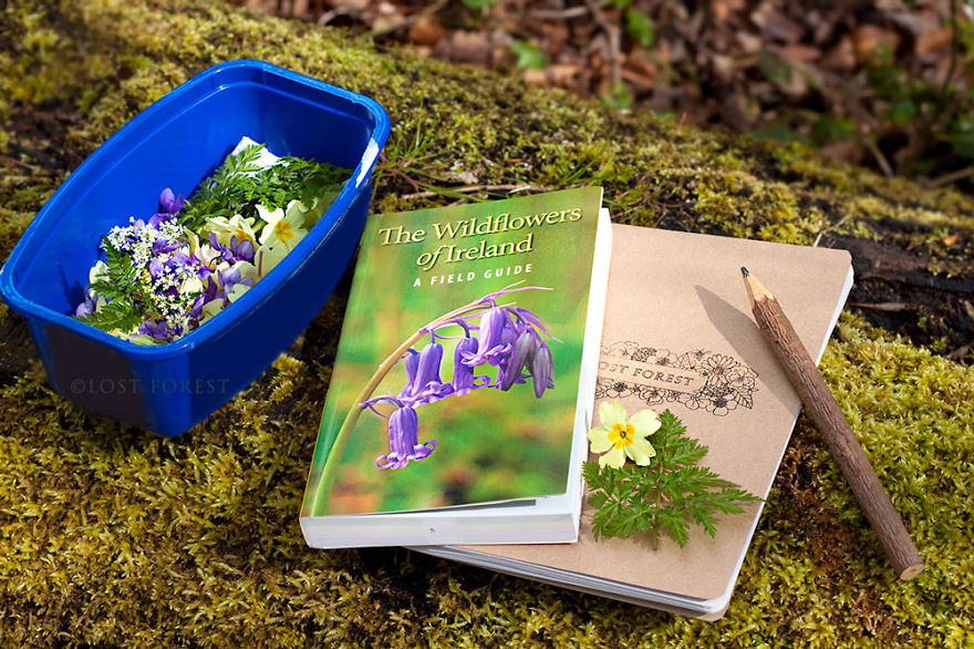 I Handpick Flowers From Irish Woodlands To Transform Them Into Beautiful Jewelry Pieces