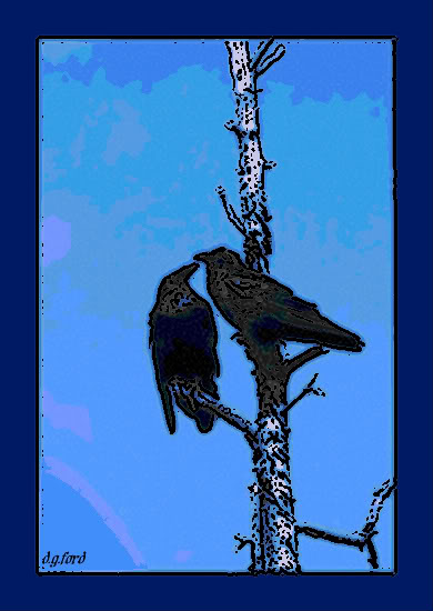 Crows-2-572b21fa8f591.jpg